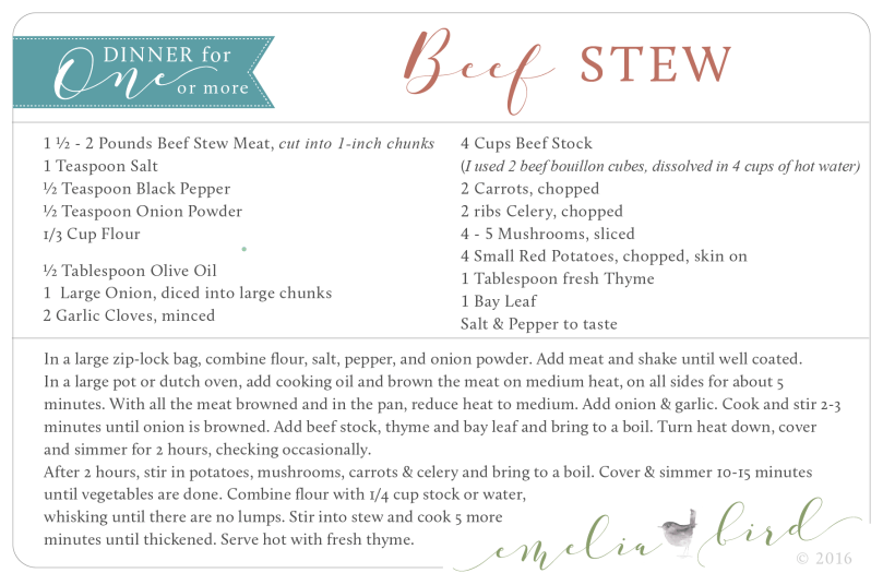 beef-stew-emeliabird-2016