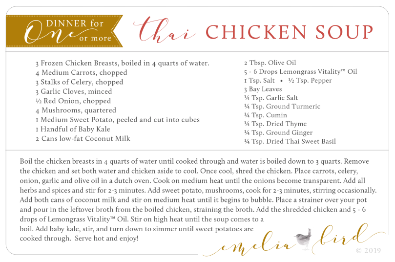 thai chicken soup © emeliabird 2019